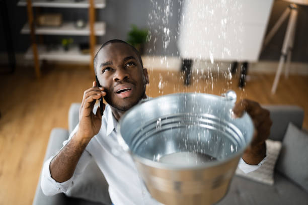Best Basement water damage restoration  in Clendon, AR