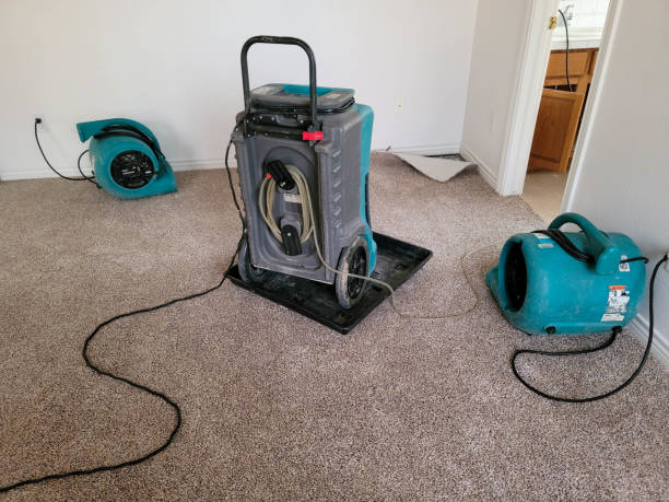 Best Water damage cleanup near me  in Clendon, AR