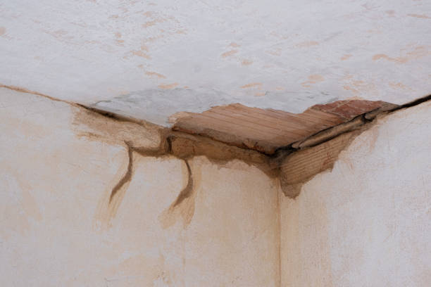 Best Fire Damage Restoration  in Clendon, AR