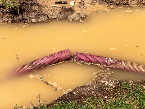 Best Mold removal after water damage  in Clendon, AR