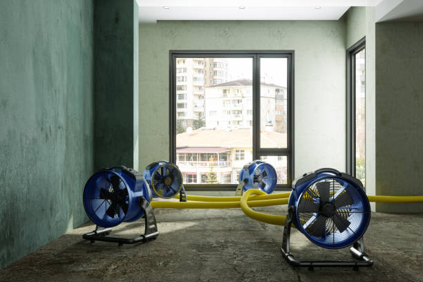 Professional Water damage restoration in Clarendon, AR
